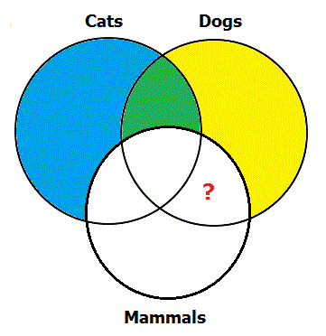 Counter-Example