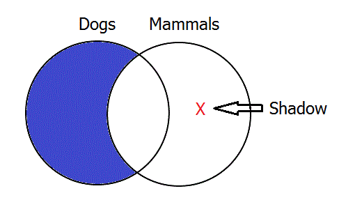 Counter-Example