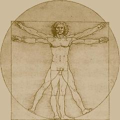 Vitruvian man