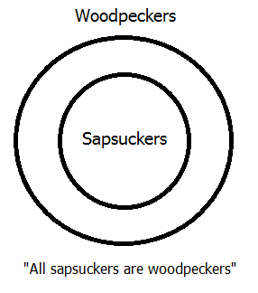 All sapsuckers are woodpeckers