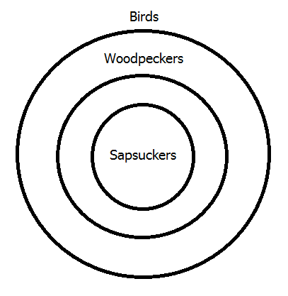 All woodpeckers are birds