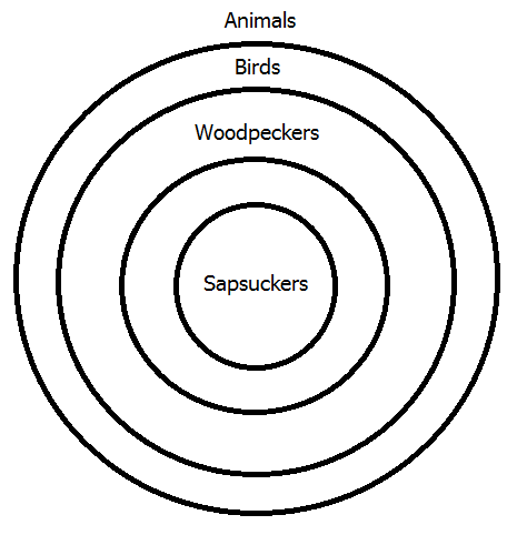 Euler diagram 1