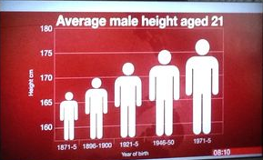 Average Male Height