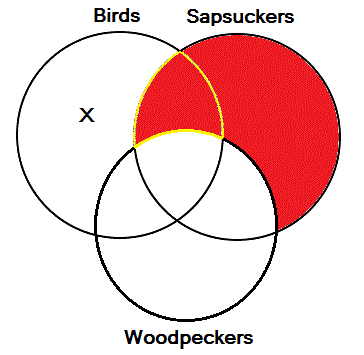 Categorical syllogism