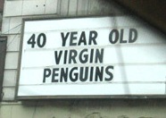 40 YEAR OLD VIRGIN PENGUINS