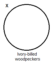 There are non-Ivory-billed woodpeckers.